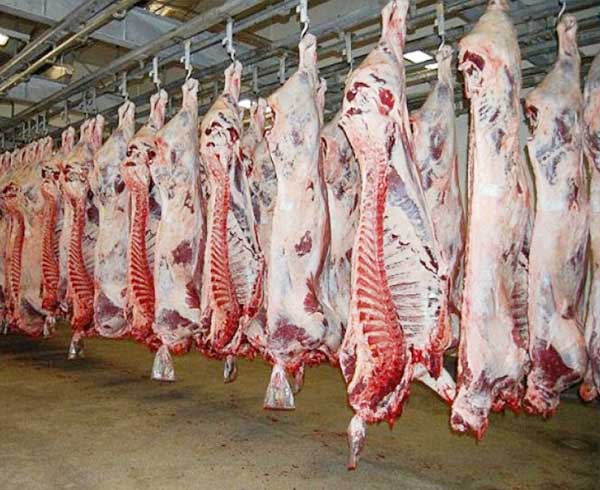 Ozone in Slaughterhouses