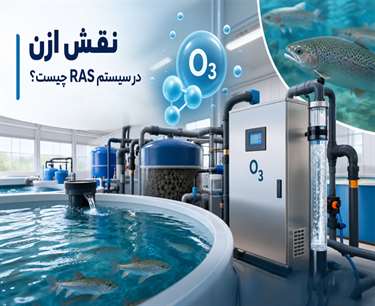 نقش ازن در سیستم RAS، کاربرد آن در تصفیه آب، کنترل نیتریت و عوامل بیماری‌زا و مهم‌ترین خطرات استفاده از ازن را بررسی می‌کنیم.