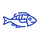 Ozone application in aquaculture