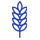 Ozone application in agriculture